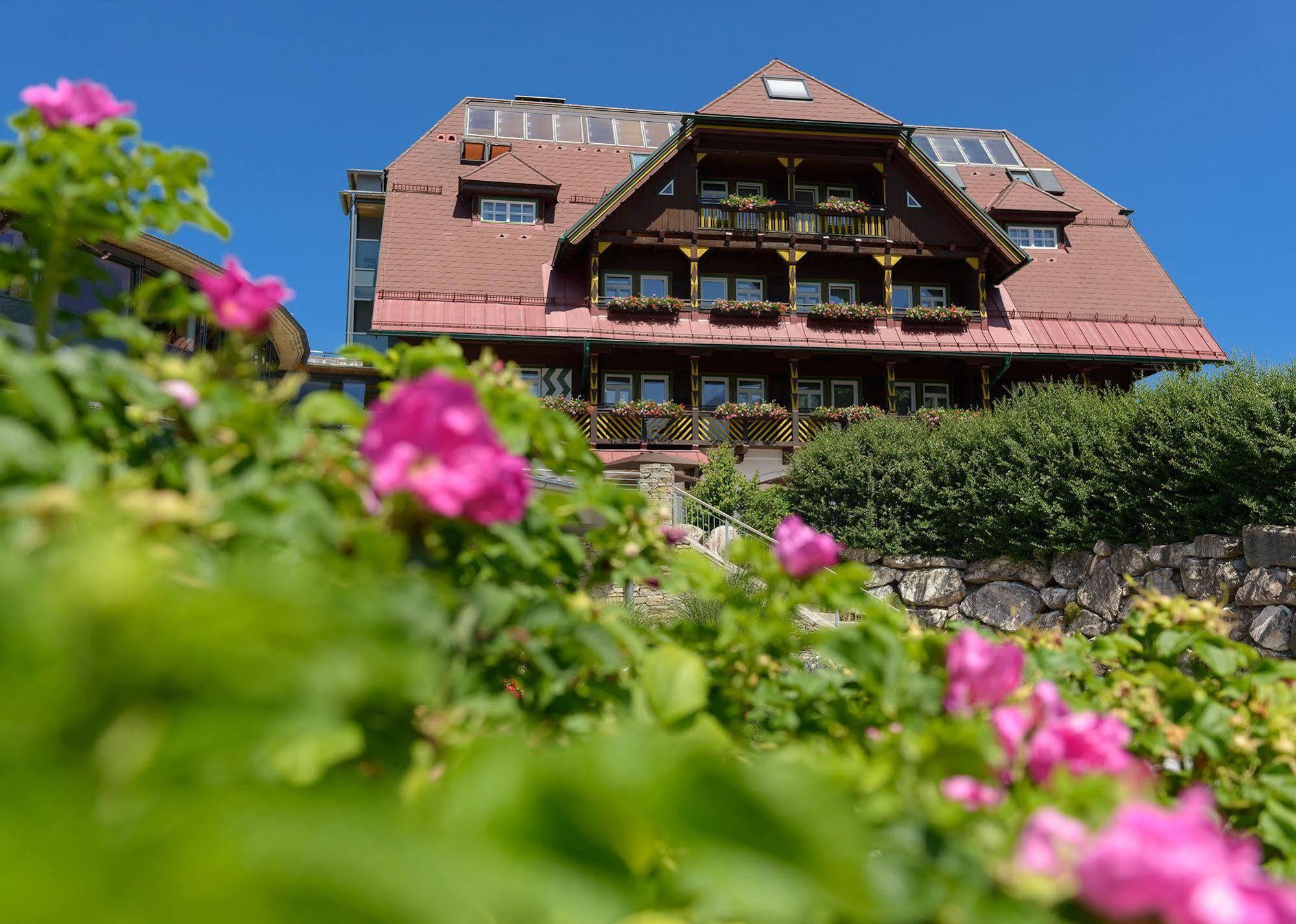 G'Sund & Natur Hotel Die Wasnerin - Adults Only Bad Aussee Esterno foto